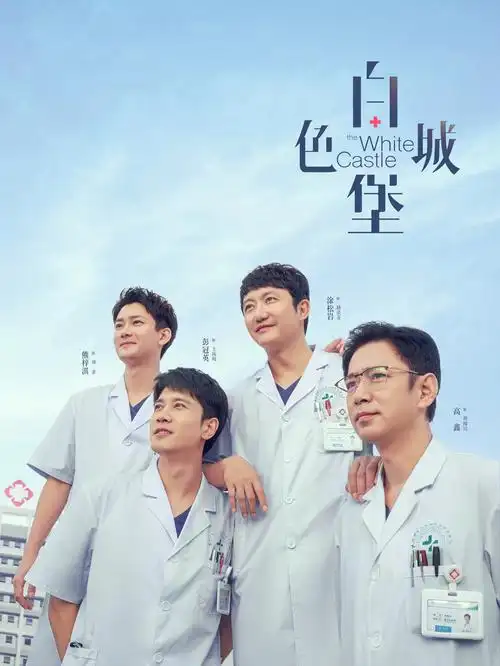 雾港迷局 热播电视剧全集免费观看